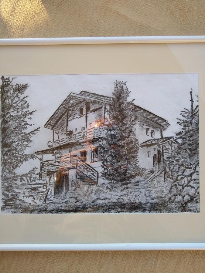 Casa De Vacanta Two Brothers Concept Paltinis Exterior photo